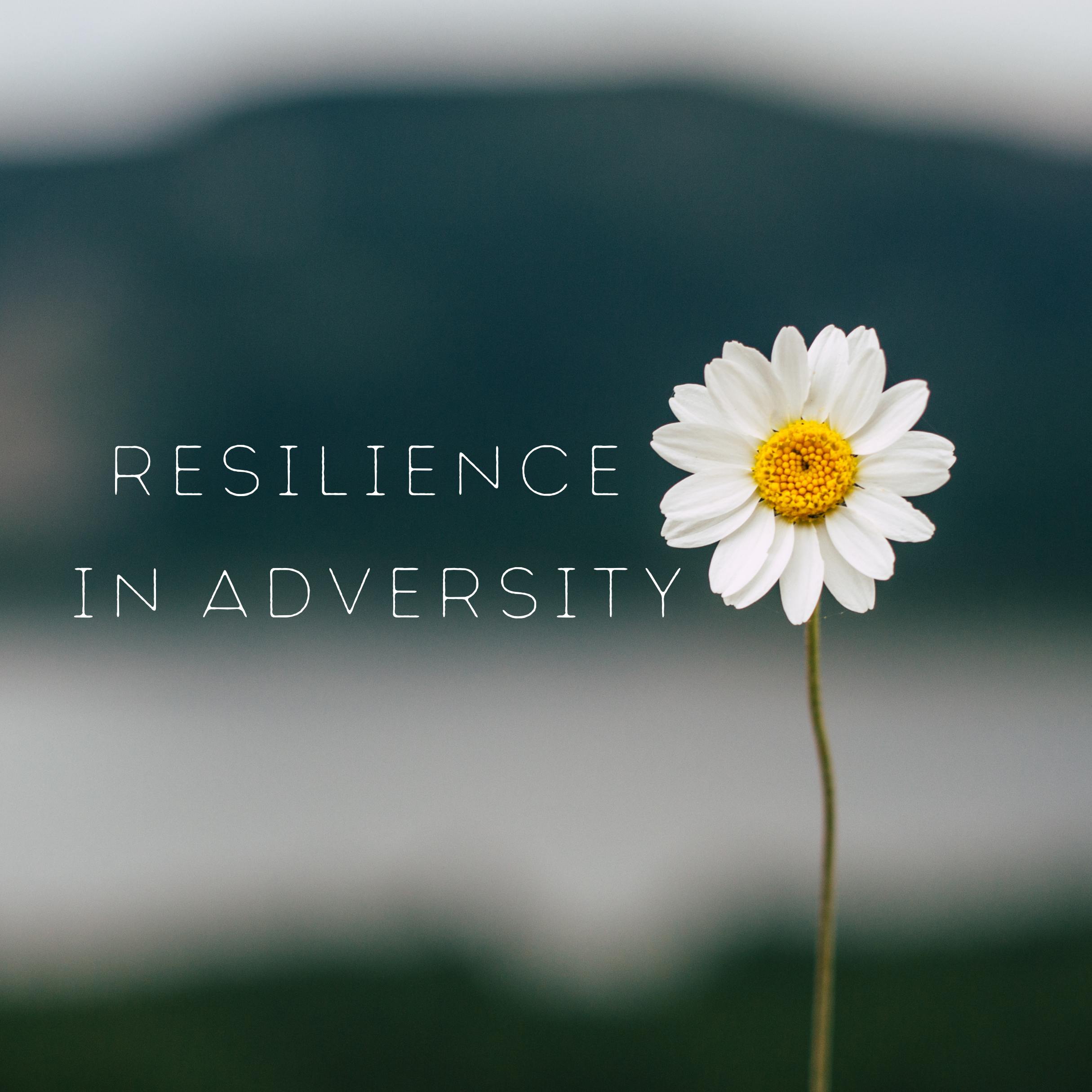 RESILIENCE IN ADVERSITY